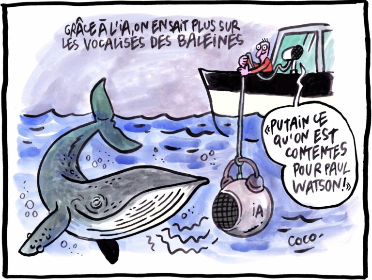 Dessin de Coco