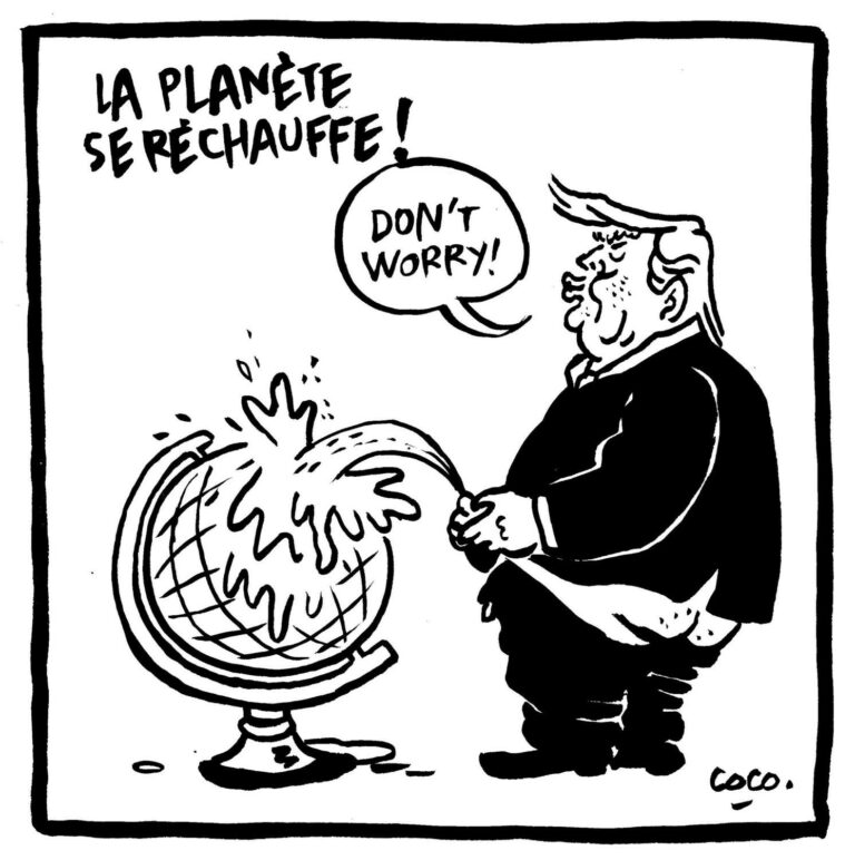 Dessin de Coco